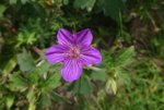 _20180626_094607.JPG