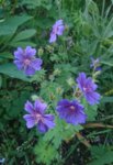 _20180609_222351.JPG