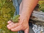 IMG-20180706-WA0012-01.jpeg IMG-20180706-WA0012-01.jpeg