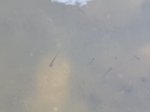 20180715_192912.jpg 20180715_192912.jpg