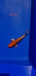 IMG-20180711-WA0021.jpg