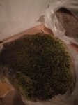 IMG_20180730_123856.jpg IMG_20180730_123856.jpg