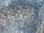 IMG-20180801-WA0013.jpg IMG-20180801-WA0013.jpg