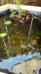 20180803_082950.jpg 20180803_082950.jpg