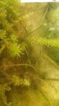 20180730_183935.jpg 20180730_183935.jpg