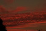 sunset_red_pink2_900.JPG