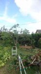 DSC_4971.JPG