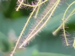 20180603_152424_neu.jpg 20180603_152424_neu.jpg
