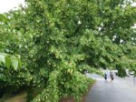 20180606_122255_neu.jpg 20180606_122255_neu.jpg