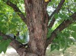 20180606_122418_neu.jpg 20180606_122418_neu.jpg
