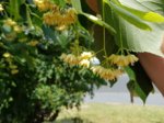 20180606_122511_neu.jpg 20180606_122511_neu.jpg