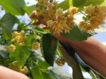 20180606_122517_neu.jpg 20180606_122517_neu.jpg