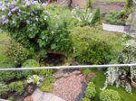 20180513_174450.jpg 20180513_174450.jpg