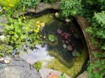 20180513_173828.jpg 20180513_173828.jpg
