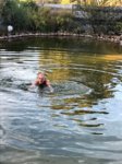IMG-20181013-WA0004.jpg