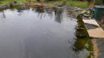 20181127_133538.jpg 20181127_133538.jpg