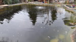 20181127_133614.jpg 20181127_133614.jpg