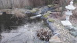 20190121_084439.jpg