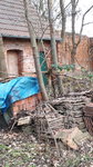 20190307_125547.jpg 20190307_125547.jpg