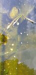 20190326_134850.jpg 20190326_134850.jpg