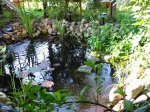 q-Gartenteich neu 008.JPG