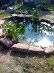 04-05-08_1606.jpg