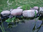 DSCF0013.JPG DSCF0013.JPG