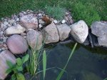 DSCF0014.JPG DSCF0014.JPG