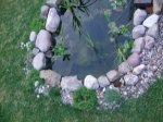 DSCF0015.JPG DSCF0015.JPG