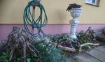 _20190330_194929.JPG _20190330_194929.JPG