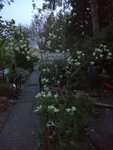 IMG_20190424_203730.jpg