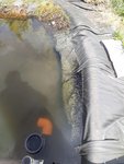 IMG-20190427-WA0001.jpg