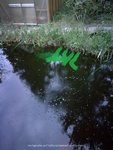 H-GIMG_20190426_203310.jpg