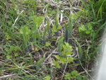 M5082293.JPG