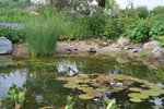 Teich.III.22.05.11.jpg.jpg Teich.III.22.05.11.jpg.jpg