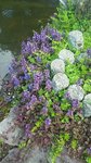 20190522_175228.jpg