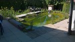 WP_20190602_13_50_32_Pro.jpg