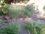 IMG_20190616_202441_9.jpg
