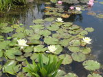 IMG_4581.JPG