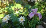 _20190629_162836.JPG _20190629_162836.JPG