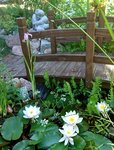 _20190629_162907.JPG _20190629_162907.JPG