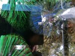 IMG_20190710_185753.jpg