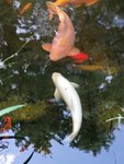 IMG_20190710_190326.jpg