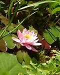 _20190719_165844.JPG _20190719_165844.JPG