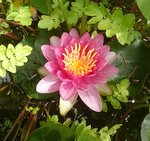 _20190719_164607.JPG _20190719_164607.JPG