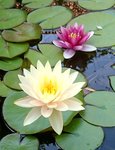 _20190719_165620.JPG _20190719_165620.JPG