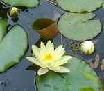 _20190719_164354.JPG _20190719_164354.JPG