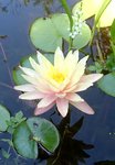 _20190719_164227.JPG _20190719_164227.JPG