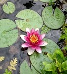 _20190719_165413.JPG _20190719_165413.JPG