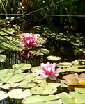 _20190719_165112.JPG _20190719_165112.JPG